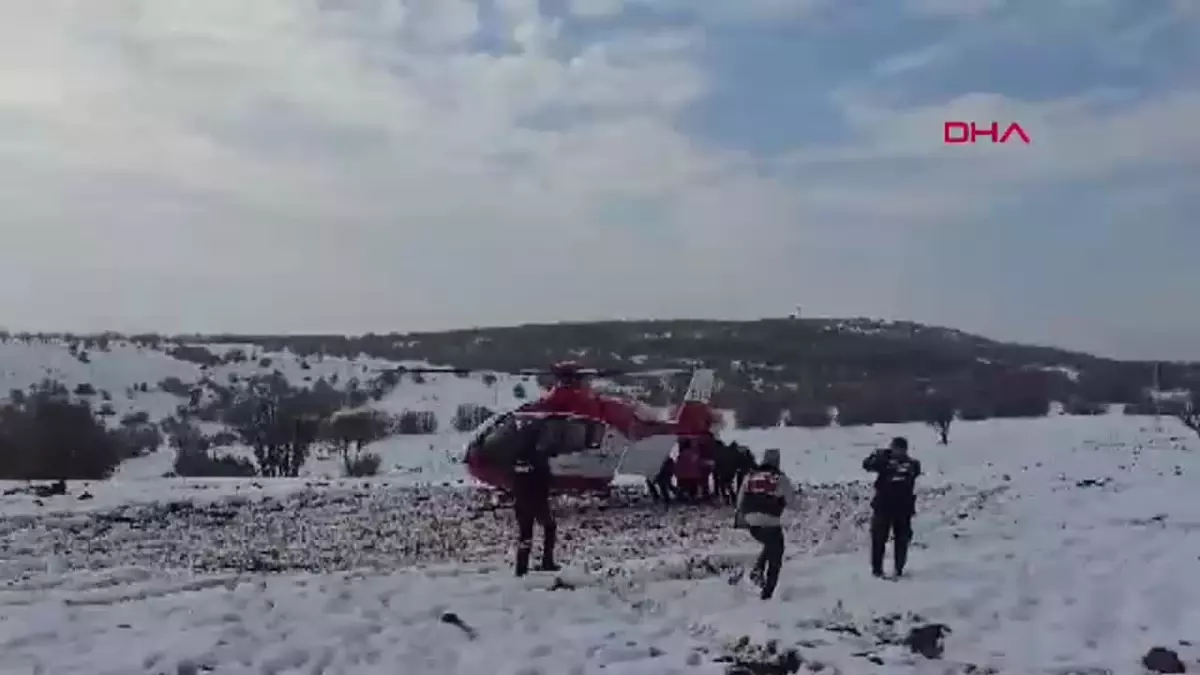 Kırsalda Ayı Saldırısına Uğrayan Yürüyüşçü Ağır Yaralandı